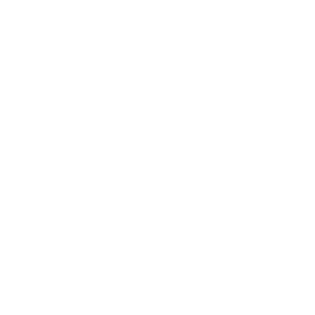 IDP